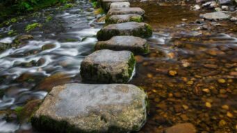 The stepping stones of the customer experience journey