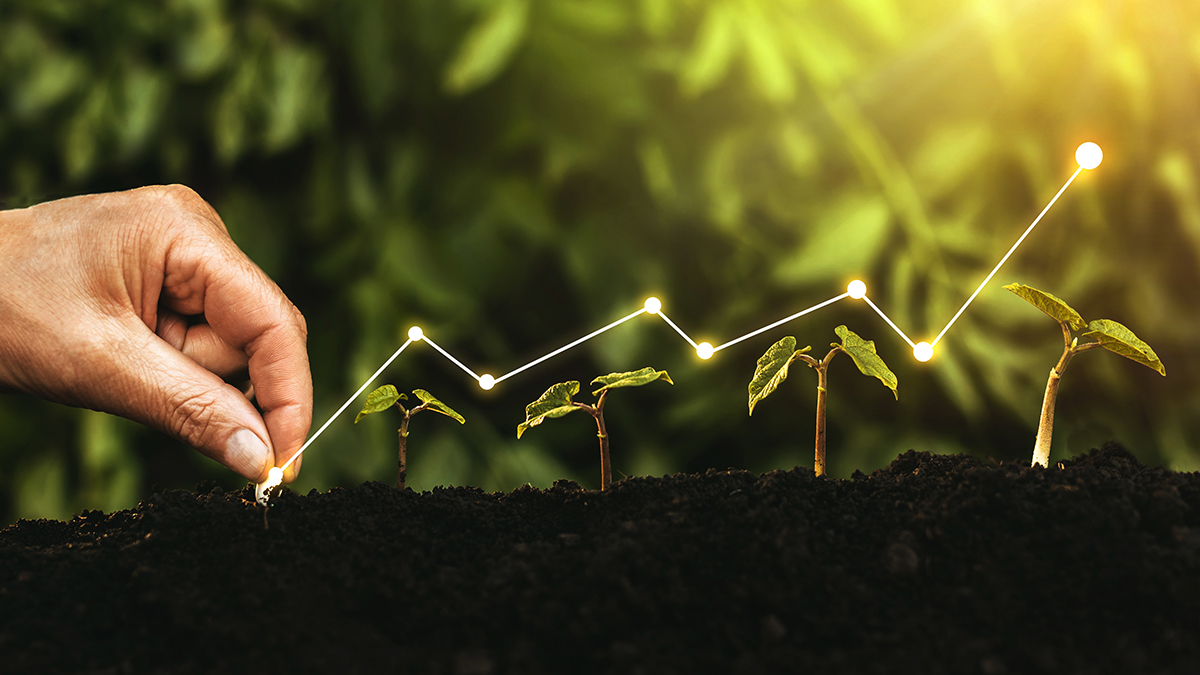 Hand planting a seedling with an overlying graphic representing business growth and scalability.