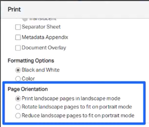 Computer image showing print and page orientation selections.