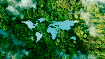 A map of the world is featured as a cut-out of lakes in an aerial view of a forest.