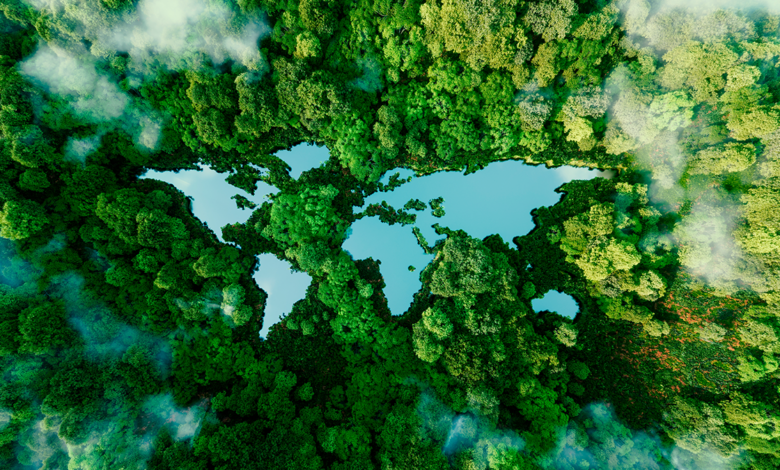 A map of the world is featured as a cut-out of lakes in an aerial view of a forest.