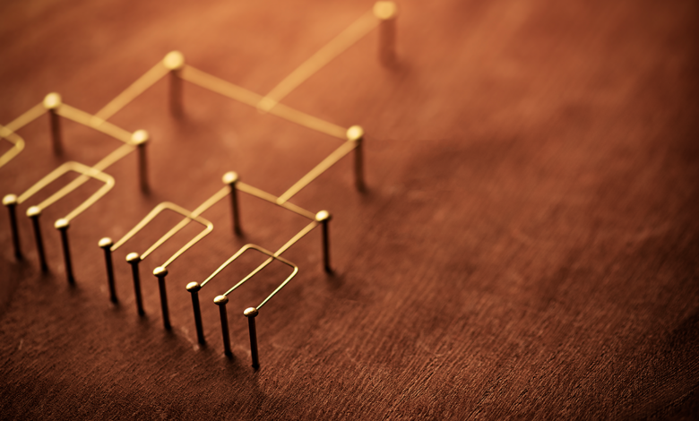 decorative image of string designating leader