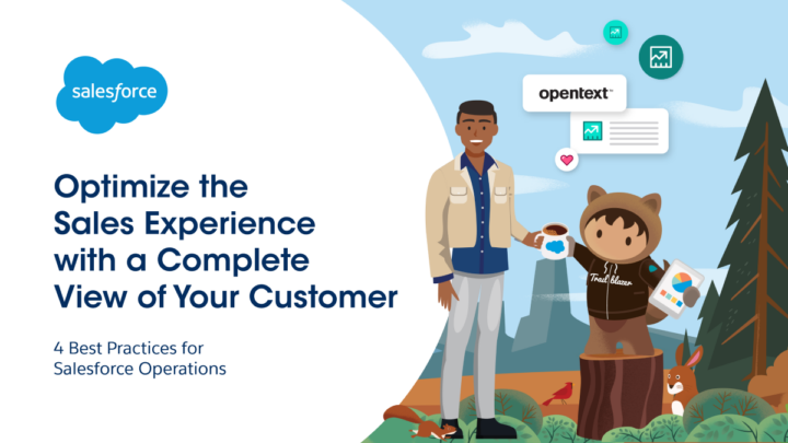 Optimize the sales experience with a complete customer view