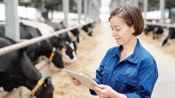 Dairy Farmers of America takes a fresh approach to key business processes