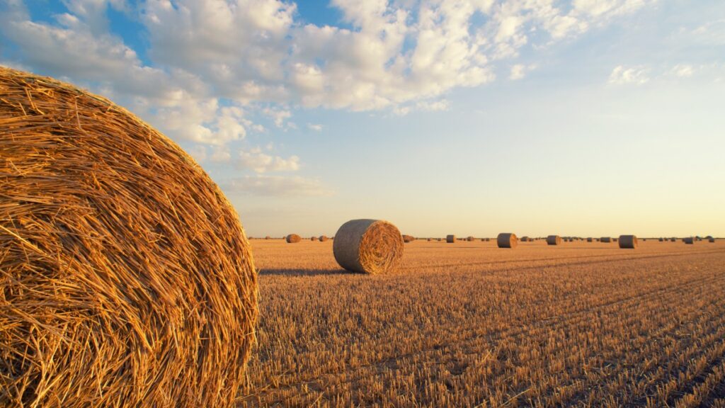 CNH builds a platform to streamline HR Operation process and to enhance employee experience