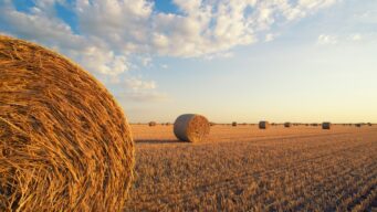 CNH builds a platform to streamline HR Operation process and to enhance employee experience