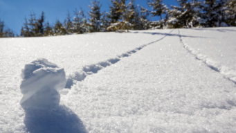 The data archiving snowball effect: start small and build momentum 
