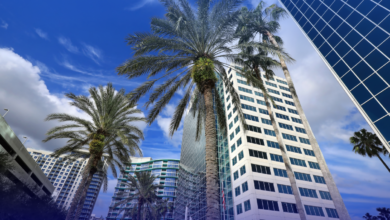 Blue skies, high-rise building, and palm trees